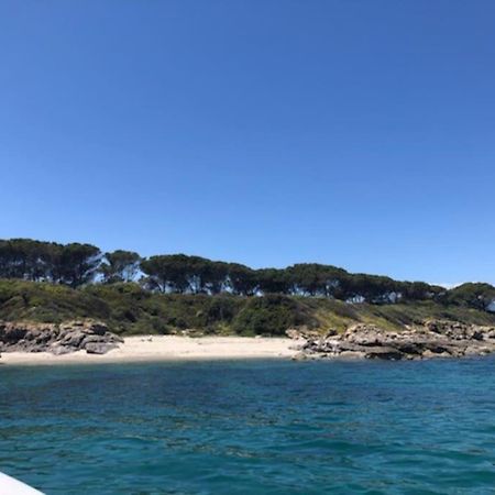 Apartamento Appart. / Clim / Piscine / Mer A 300M Linguizzetta Exterior foto