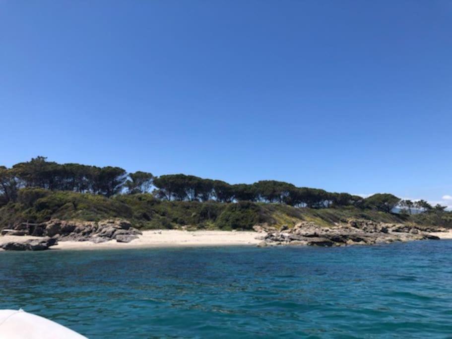 Apartamento Appart. / Clim / Piscine / Mer A 300M Linguizzetta Exterior foto